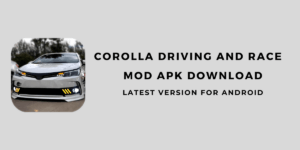 Corolla Driving and Race