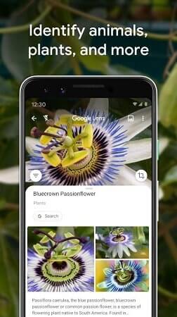Google Lens Google Lens APK