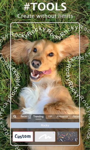 Meitu Mod Apk Meitu Mod Apk