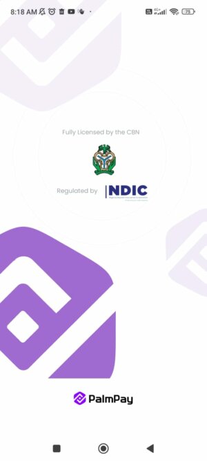 PalmPay