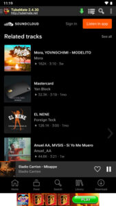 Youtube Video Downloader